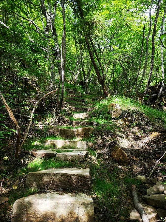 فندق Eco Camp Supot Šmarje المظهر الخارجي الصورة